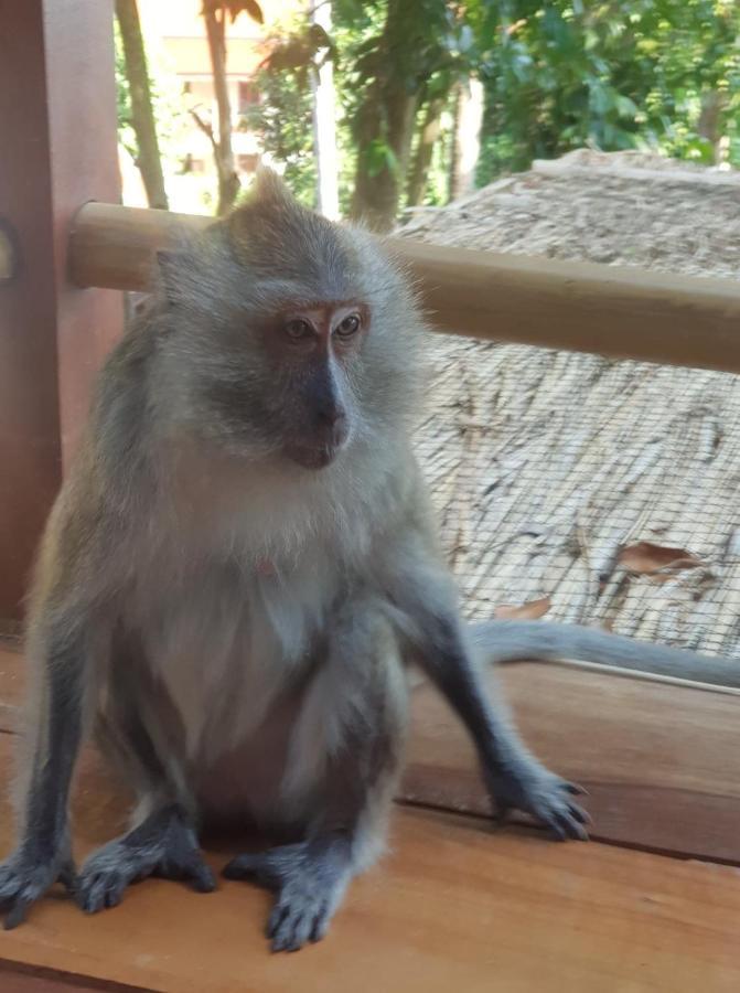 Kalulushi Bungalows Ko Pha Ngan Ngoại thất bức ảnh