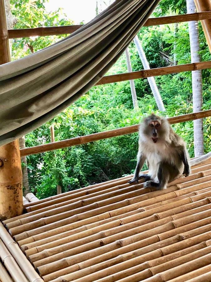Kalulushi Bungalows Ko Pha Ngan Ngoại thất bức ảnh